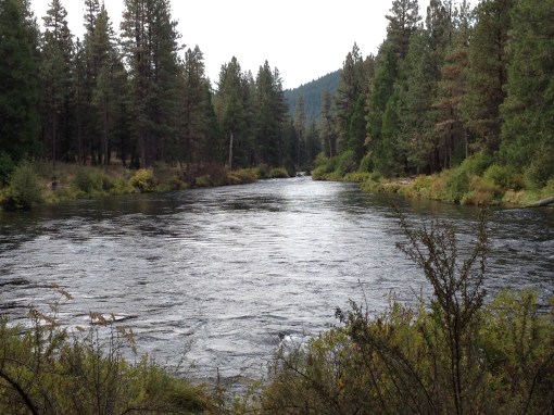 metolius river,camping in oregon,camp sherman,camping camp sherman,trout fishing oregon