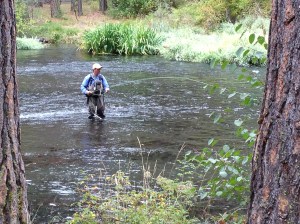metolius river,camp sherman,fly fishing,metolius river fishing,camping in oregon