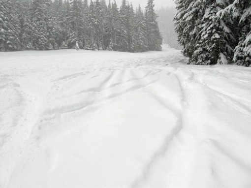 mt hood oregon,mt hood ski bowl,skiing oregon