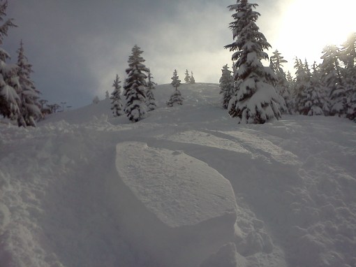 ski bowl,skiing,mt hood,oregon