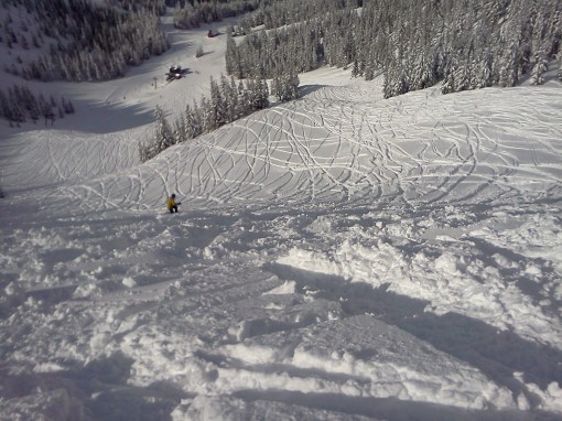 ski bowl,mt hood ski bowl,skiing oregon