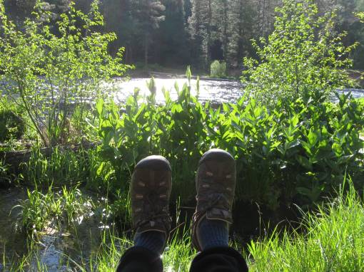metolius river,camp sherman