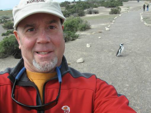 valdez peninsula,argentina,patagonia,magellenic penguins