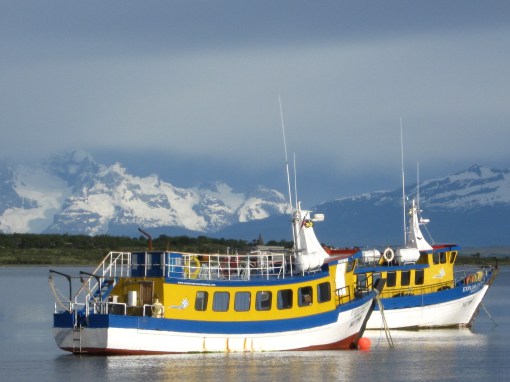 puerto natales, puerto natales chile