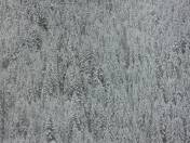 mt hood,mt hood oregon,snow