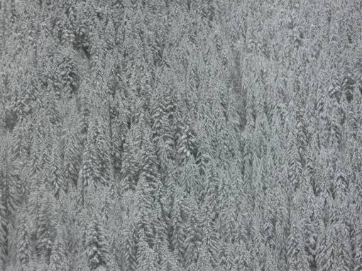 mt hood,mt hood oregon,snow