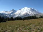 mount rainier,mt rainier wa