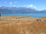 kaikoura new zealand