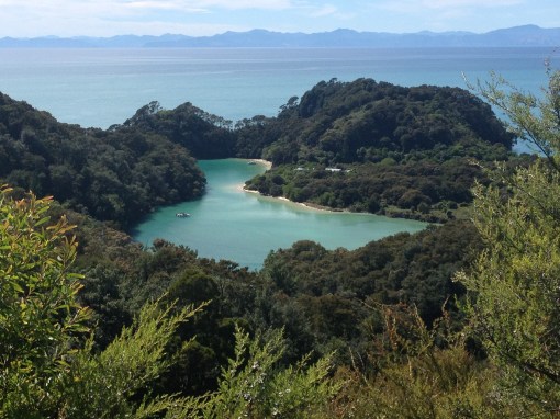 abel tasman national park,new zealand,hiking new zealand