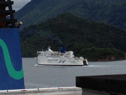 new zealand ferry