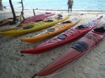 kayaking belize,lighthouse reef,half moon caye