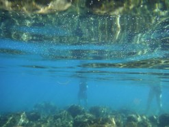 waldo lake water,waldo lake,oregon