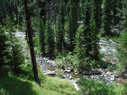 north fork john day river, camping, oregon, hiking