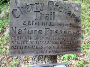 lyle orchard trail,cherry orchard trail,lyle,washington,hiking,columbia gorge hiking