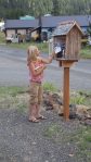 Little Free Library&nbsp;Granite