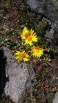 20170625_112740