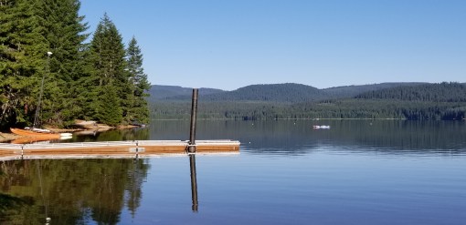 Gone Creek dock morning