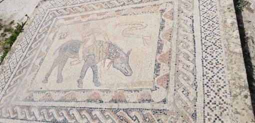 Horseback riding resized