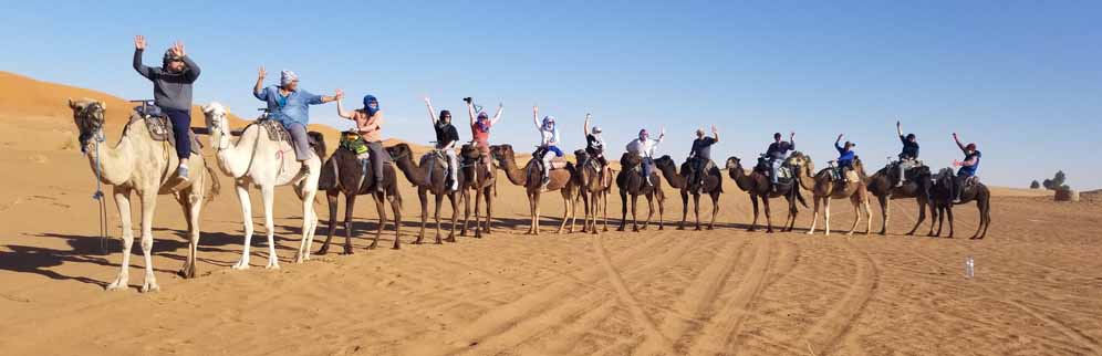 Group on Camels crop